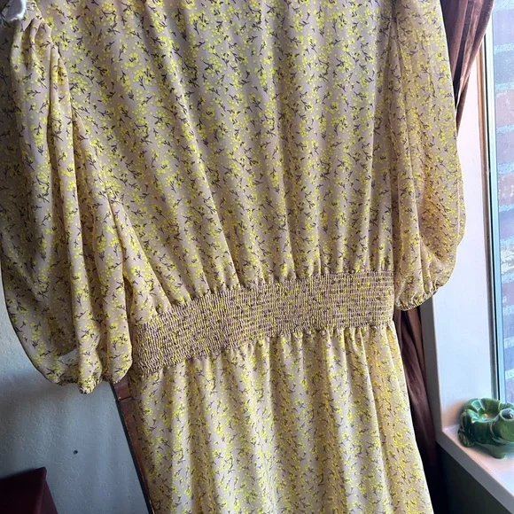 Sheer Cottage Floral Maxi Dress - Picture 7 of 8